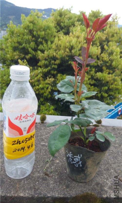 20150405170723.jpg