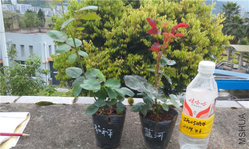 20150405171320.jpg