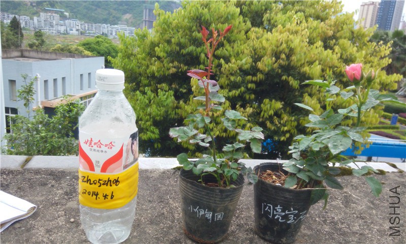 20150405171421.jpg