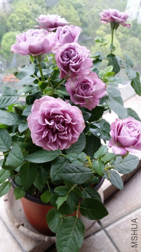 20141226_114407.jpg