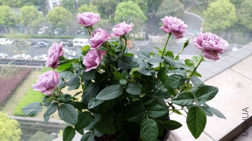 20141226_114347.jpg