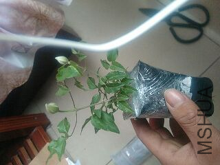 UC_Photo_072.jpg