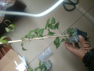 UC_Photo_073.jpg