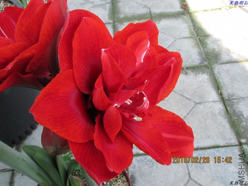 IMG_8447_nEO_IMG.jpg
