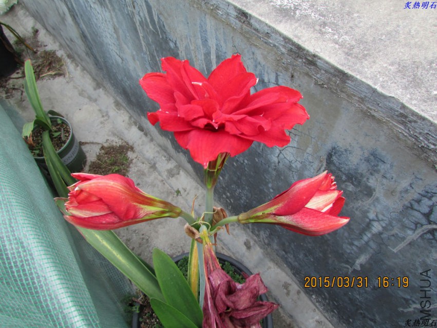 IMG_2237_nEO_IMG.jpg