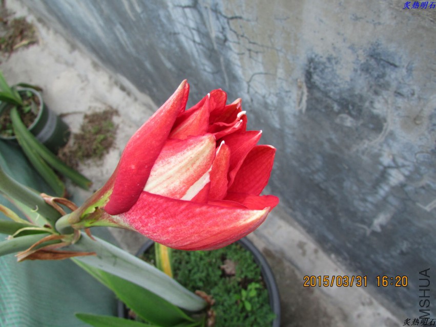 IMG_2239_nEO_IMG.jpg