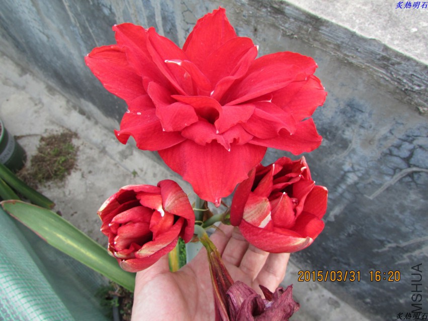 IMG_2241_nEO_IMG.jpg