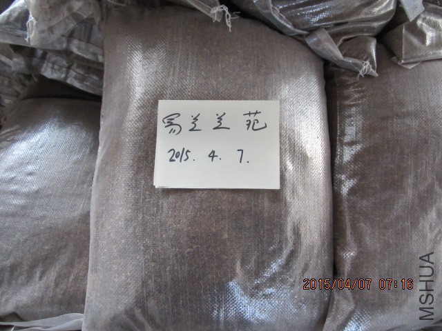 IMG_9322.JPG