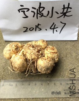 QQͼƬ20150407101057.png