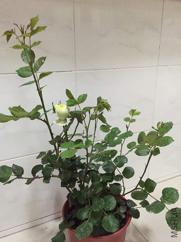 �¼�0407 002_����.jpg