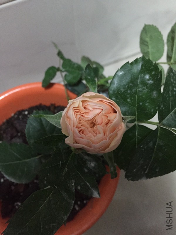 �¼�0407 004_����.jpg