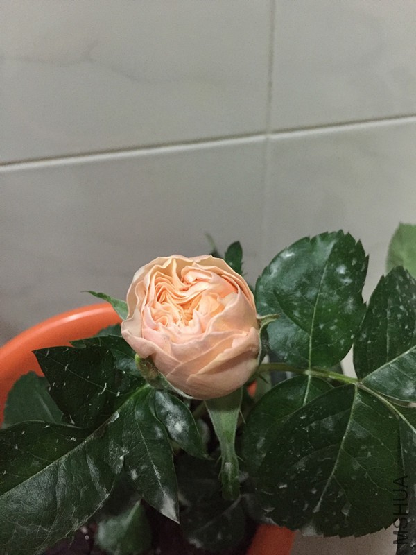 �¼�0407 003_����.jpg