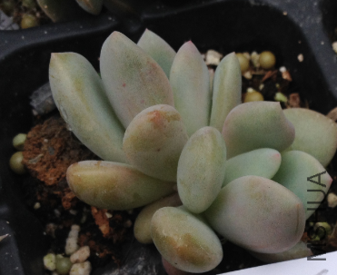 QQͼƬ20150406180553.png