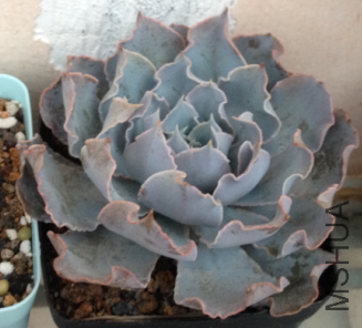 QQͼƬ20150406181603.png
