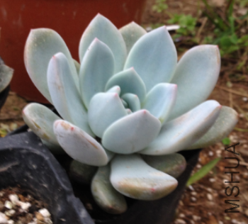 QQͼƬ20150406181618.png