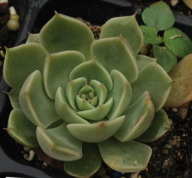 QQͼƬ20150406181628.png