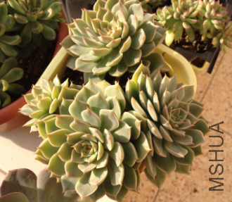 QQͼƬ20150406182603.png