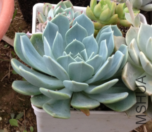 QQͼƬ20150406182719.png