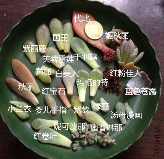 QQͼƬ20150406172331.jpg