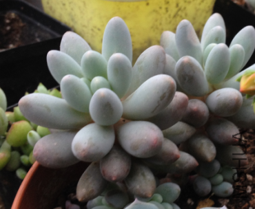 QQͼƬ20150406182809.png