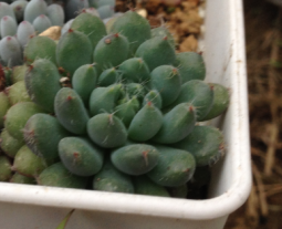 QQͼƬ20150406182832.png