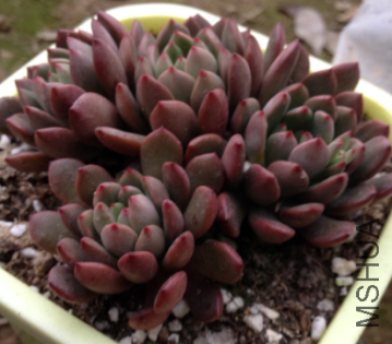 QQͼƬ20150406182918.png
