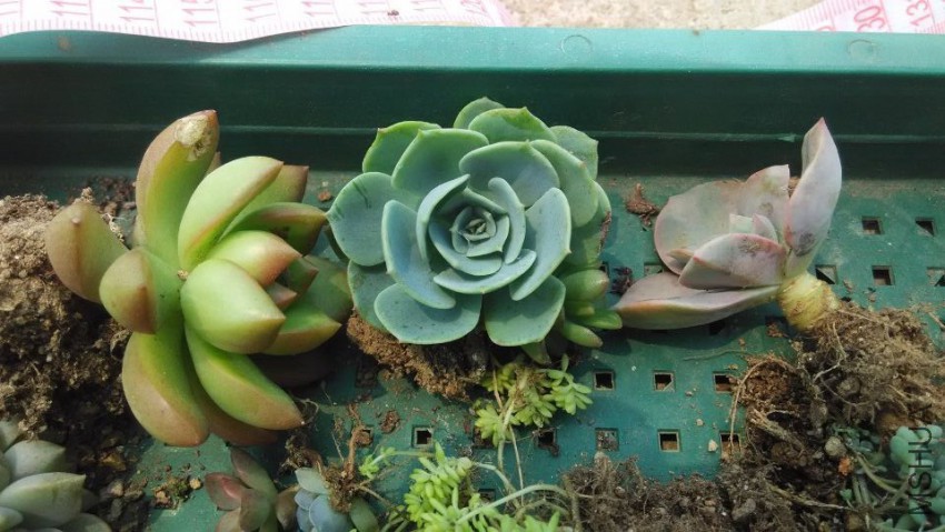 QQͼƬ20150407122735.jpg