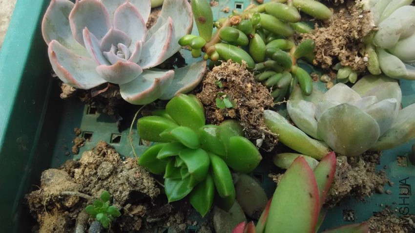 QQͼƬ20150407122738.jpg