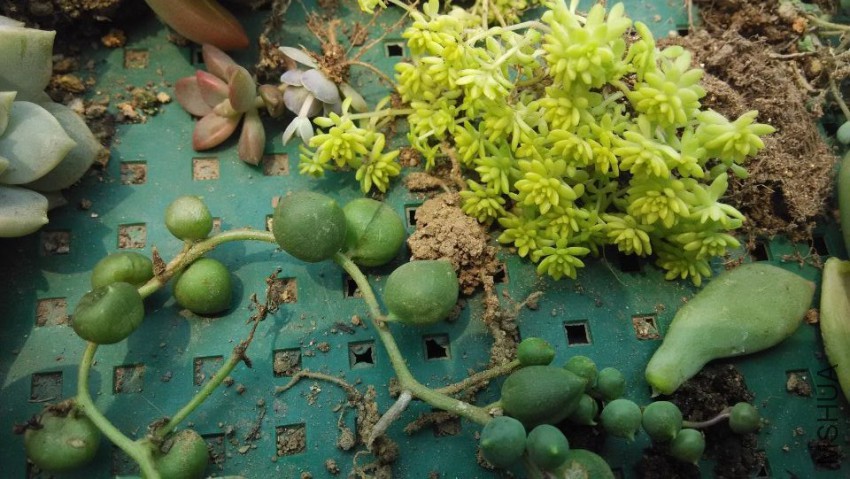 QQͼƬ20150407122742.jpg