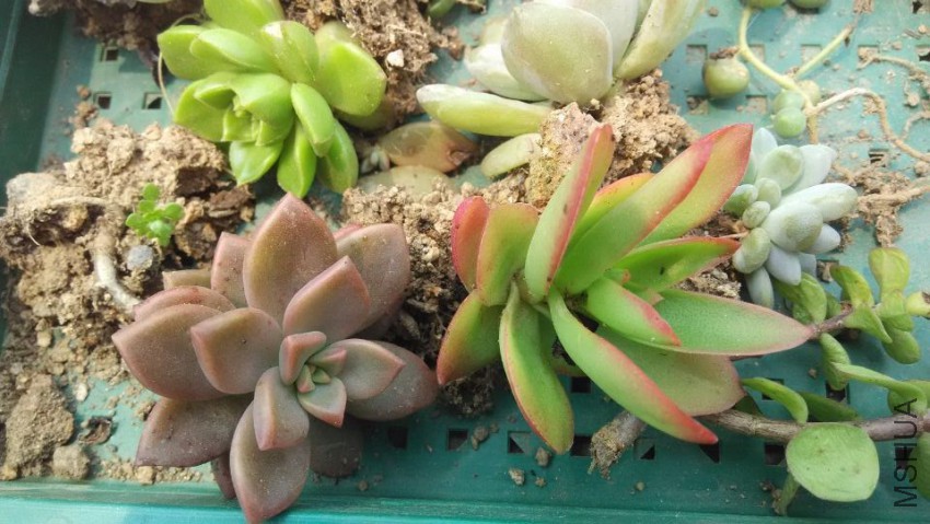 QQͼƬ20150407122749.jpg