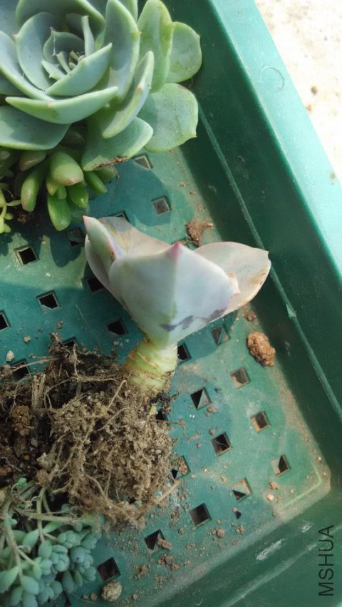 QQͼƬ20150407122753.jpg