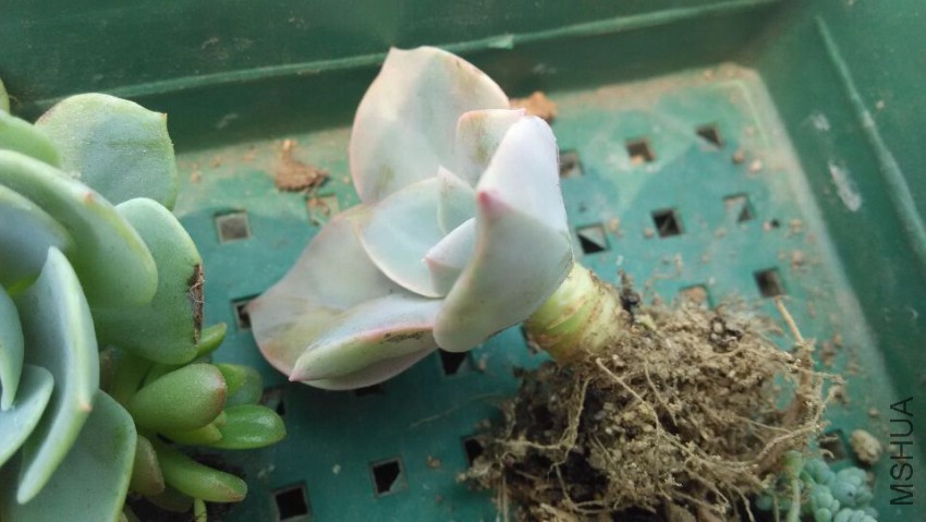 QQͼƬ20150407122756.jpg
