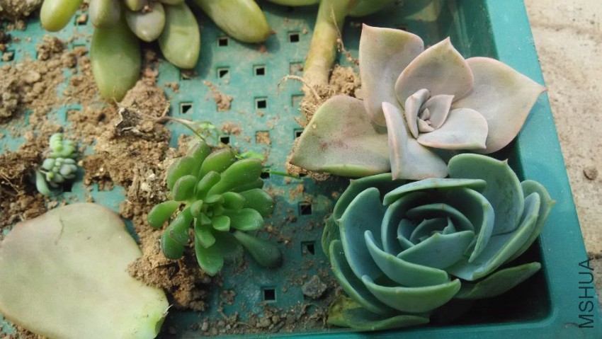 QQͼƬ20150407123056.jpg