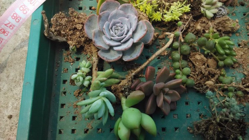 QQͼƬ20150407123116.jpg