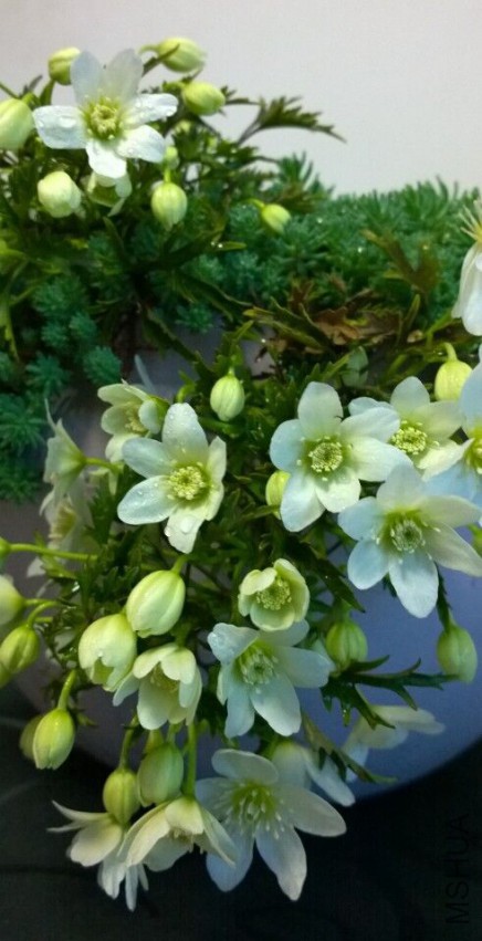 QQͼƬ20150407145224.jpg