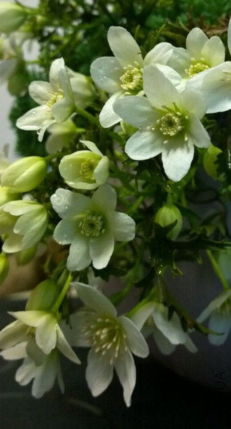 QQͼƬ20150407145232.jpg