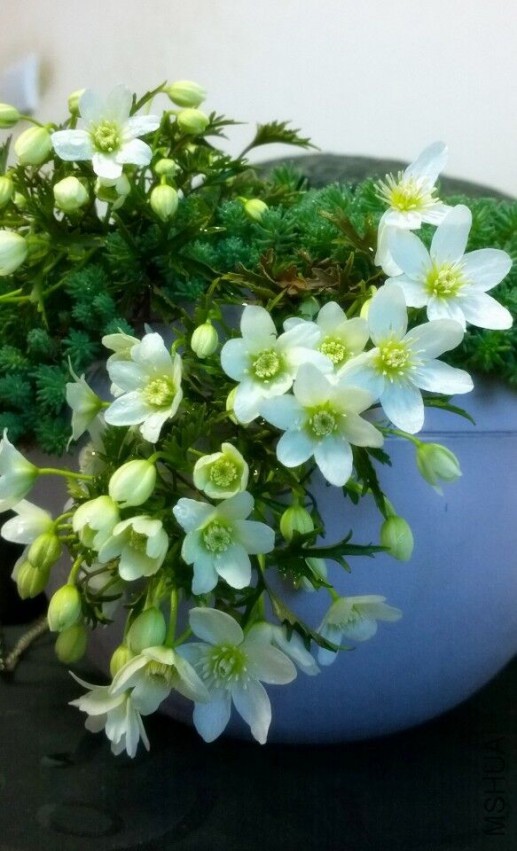 QQͼƬ20150407145241.jpg