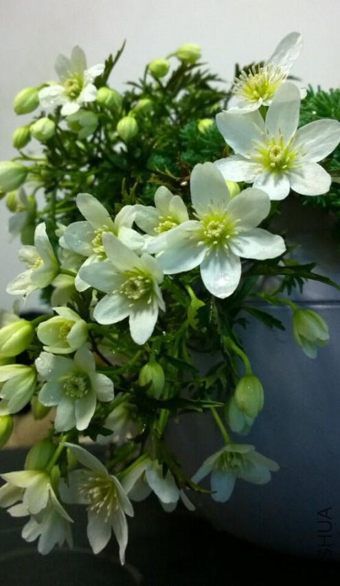 QQͼƬ20150407145246.jpg
