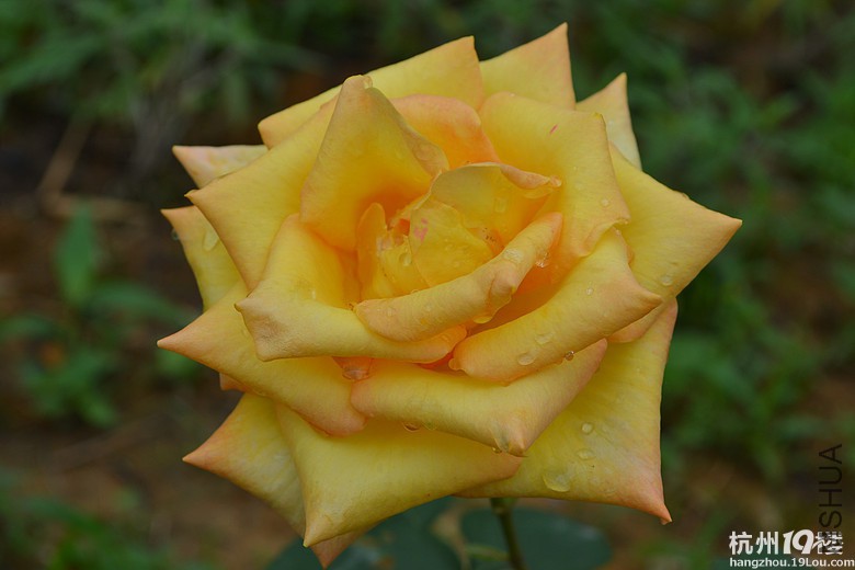 ����ս�ػƻ�