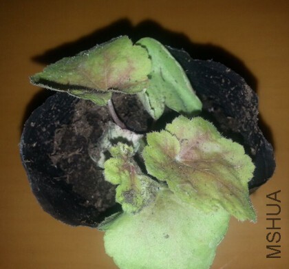 QQ��ͼ20150407230316.jpg