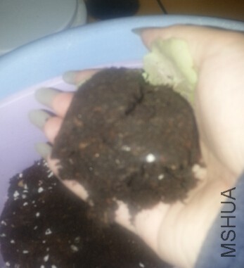 QQ��ͼ20150407230340.jpg