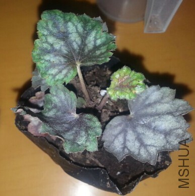 QQ��ͼ20150407230519.jpg