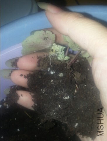 QQ��ͼ20150407230604.jpg