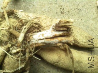 ��͸�ˣ����Ҳ���