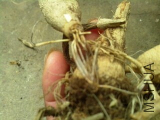 �Ƚ�������Щ�ط��ڸ�