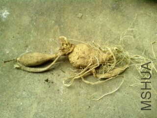 ����֪����ʲô����