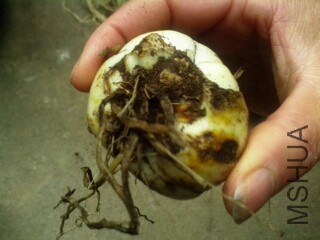 �����ȫ��ڣ��Ѿ����ˣ�һ���͵�