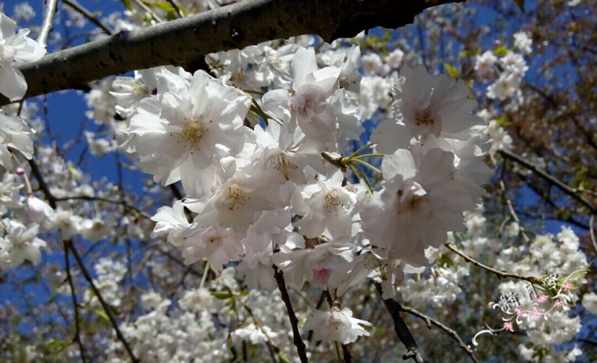 QQͼƬ20150408133927.jpg