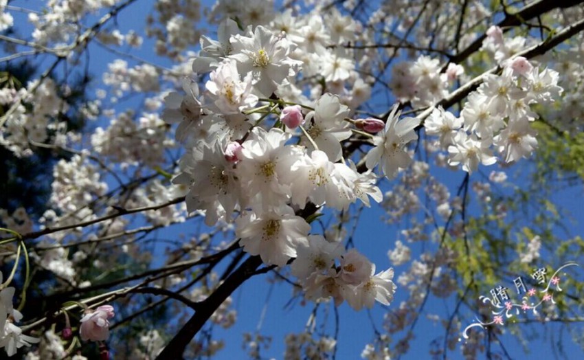 QQͼƬ20150408134038.jpg