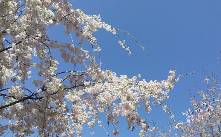 QQͼƬ20150408134102.jpg